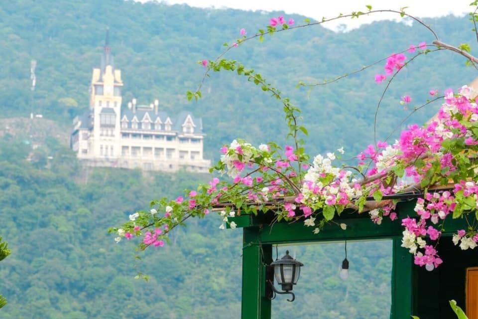 Mimosa Villa Tam Ðảo 외부 사진